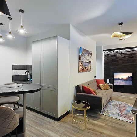 Moderns Un Kluss Dzivoklis 41 M2